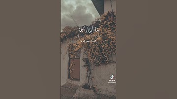 ءايات بيانات من الذكر الحكيم بصوت القارئ سعيد بن علي