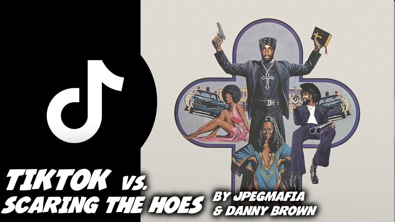 TikTok vs. SCARING THE HOES by JPEGMafia x Danny Brown YouTube