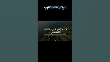 بأي قلب كنت تقرأ القرآن ياشيخ القراء  #القرآن_الكريم #ستوريات #المنشاوي #البهتيمي #التلاوات_النادره