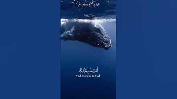#تلاوات_الحَرَم #التراويح #تلاوة_مؤثرة #سورة_الأنبياء #تلاوة_خاشعة