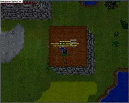 Flying Carpet - Otserv (The Forgotten Server)