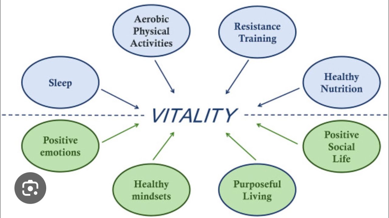 Narcissists lack vitality - YouTube