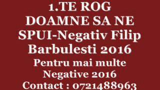 Vignette de la vidéo "TE ROG DOAMNE SA NE SPUI-Negativ Filip Barbulesti 2016"