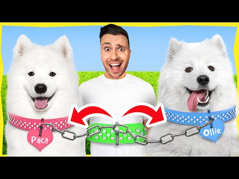 Video: 5 Speelgoed dat Terriers niet kunnen weerstaan