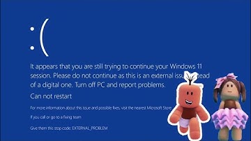 Windows 11 Killscreen but Carl Jr, Carla & Carla Jr sees it