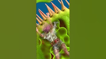 Học và Hỏi - Điều gì sẽ xảy ra nếu bạn rơi vào một cây bẫy kẹp khổng lồ? #xuhuong #khampha #kienthuc