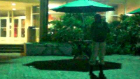 Sigma Lambda Gamma (UM) - Kappa Line Probate Part II