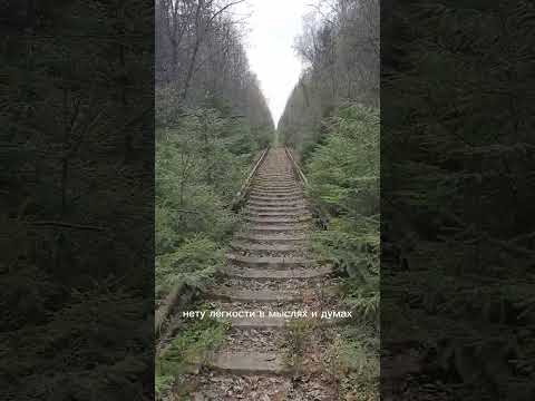 Видео: Не вините другого в искусстве..