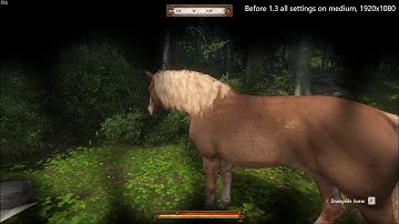 Kingdom Come: Deliverance 1.3 is unplayable.