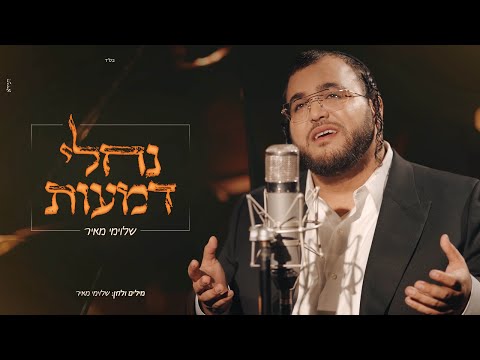 שלוימי מאיר - נחלי דמעות | Shloime Meir - Nihlei Dmaot