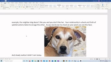 MAT 118 - Lecture Guide - Module 2 - Plausible vs True