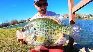 Fishing for GIANT SPRING CRAPPIE!!!