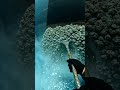 Extreme Marine Restoration: Heavy Barnacle Shell Shatter 🚢⛏️