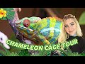 Panther Chameleon Cage TOUR ~ What&#39;s In Clyde&#39;s Cage?