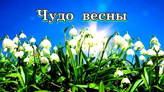 «Чудо весны» 💢 Стихи Лидии Тагановой под чарующую мелодию