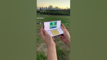 Samsung Galaxy Fold DS