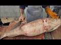 Hamour Fish Giant Filleting Fantastic Skills। 30 KG/$300 Hamour Fish Cutting। Hamour Fish Filleting