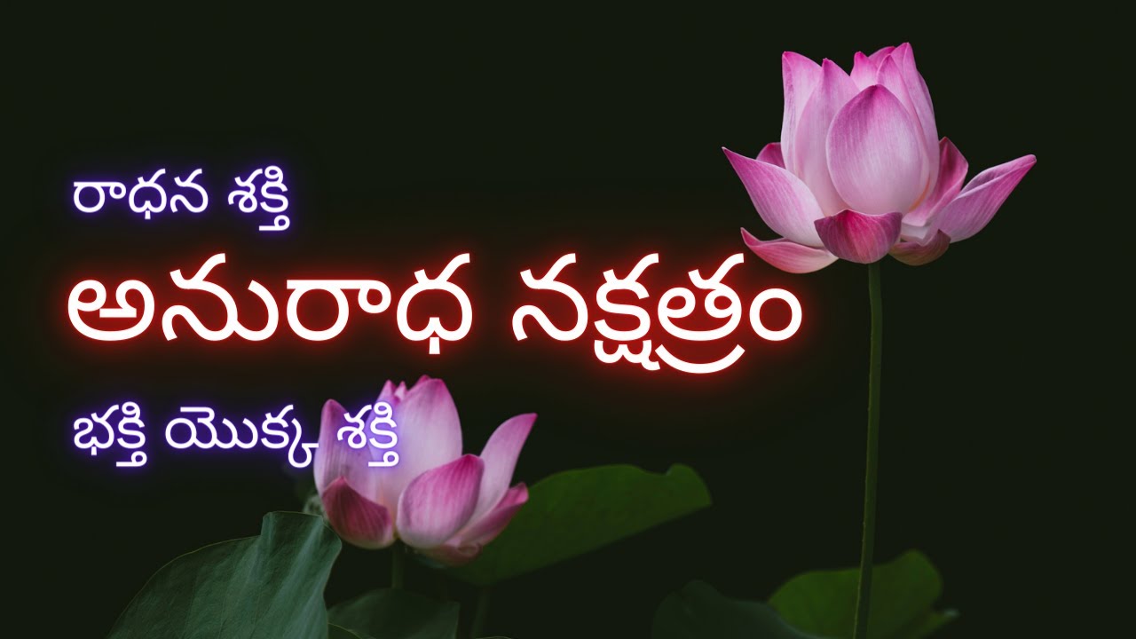అనురాధ నక్షత్రం రాధన శక్తి కలిగివుందా ? | అనురాధ నక్షత్రం వృశ్చిక రాశి | Anuradha Nakshatra