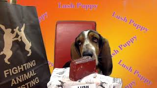 Boris Basset reviews Lush Karma Soap