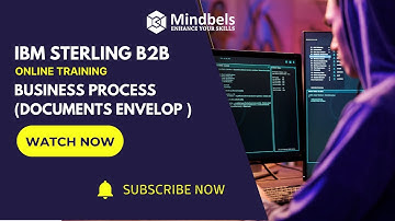 IBM Sterling B2B ||  Understanding Business Processes & Document Envelopes || Online training ||