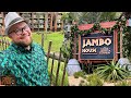 Disney’s Animal Kingdom Lodge 2021 | Kilimanjaro Club Level Room Tour & Jambo House Christmas Tree