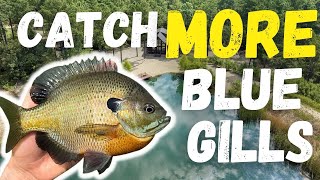 Catch MORE Bluegill From The Bank! | EASIEST METHOD!