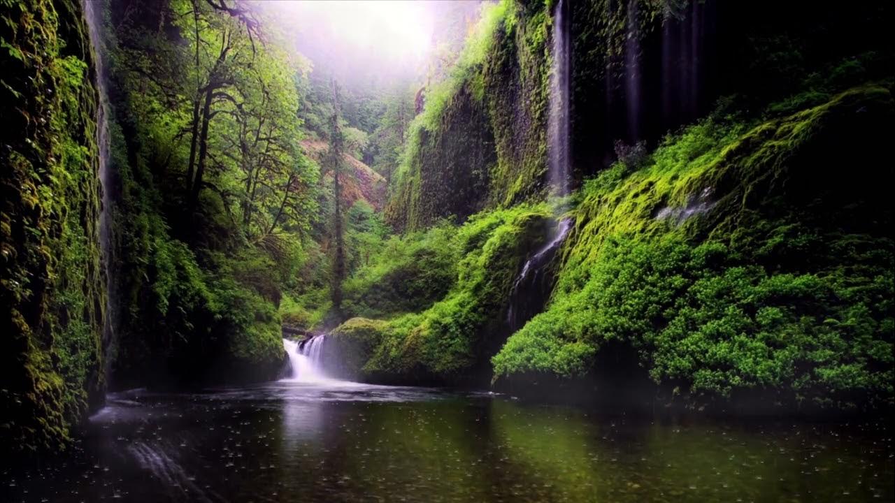 Telefondan ogirlangan porno surat Birinchi marta jinsiy aloqada bolgan yoshlar video