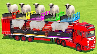 LOAD SHEEP & TRANSPORT WITH SCANIA TRUCK & ZETOR TRACTOR  Farming Simulator 22