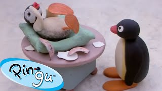 Pingu's Little Sister, Pinga! 🐧 | Pingu - Official Channel | Cartoons For Kids