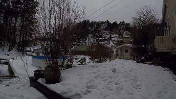 Feiyutech g5 with gopro hero 5 sound issue solution? 2 Wind only in manual audio control