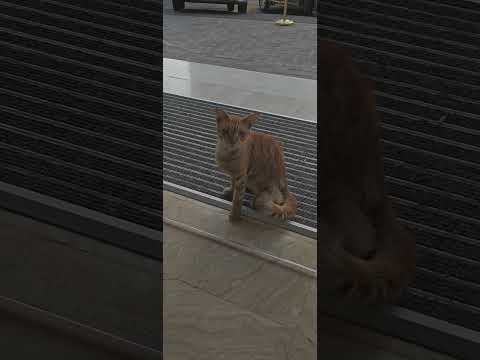 شفت المساء بالدوام 