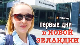 Первые дни в Веллингтоне | НОВАЯ ЗЕЛАНДИЯ