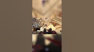 m0NESY finds ANOTHER bug??😮🤔