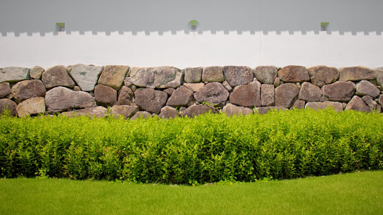 愛知県清須市朝日城屋敷ライブカメラ Aichi Kiyosu Live camera.world.cam