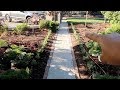 Planting Rows of Lavender 🌿// Garden Answer