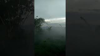 Download Lagu DETIK - DETIK AWAN KABUT TURUN DI DAERAH JONGOL JAWA BARAT #kabut #jongol #beritaterkini MP3