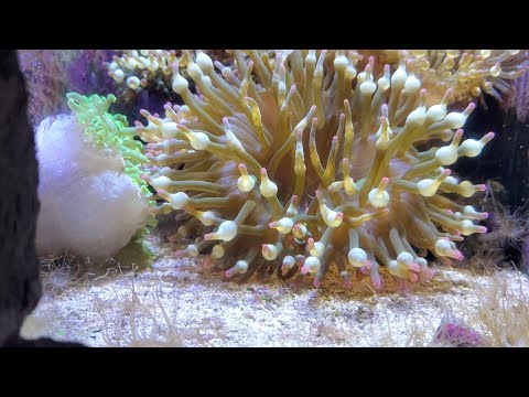 Long Island Aquarium Detailed Tour | Long Island, New York | Part 2