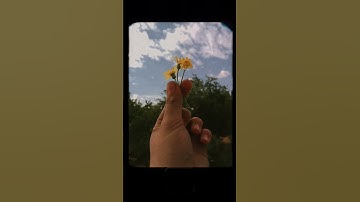 #تلاوة_مؤثرة #تلاوة_خاشعة #إسلام_صبحي #حالات_واتس #اكسبلور #ترند