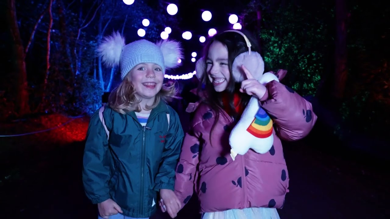 Windsor Great Park Illuminated 2024