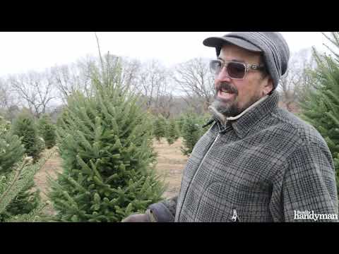 Video: How To Cut A Christmas Tree