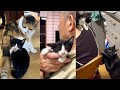 新入り子猫がキーくんと名付けられるまで&母性が芽生える先輩猫たち