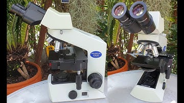 Olympus CX21 Microscope How to replace halogen bulbs Failed light bulb, no light