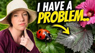 🐞 I had a problem in my garden... ,I used something nature has been using for millions of years.