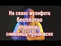 Первый сеанс музофота