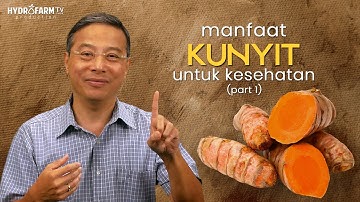 Manfaat KUNYIT Untuk Kesehatan..!! (Part 1)