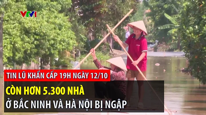Tin lũ khẩn cấp 19h ngày 12/10: Còn hơn 5.300 nhà ở Bắc Ninh và Hà Nội bị ngập | VTVWDB