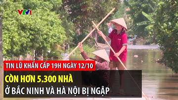 Tin lũ khẩn cấp 19h ngày 12/10: Còn hơn 5.300 nhà ở Bắc Ninh và Hà Nội bị ngập | VTVWDB