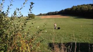 Beauceron, FAMAS de la Noé d'Orient