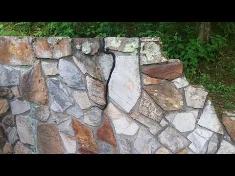 Snake Climbs Straight Up Rock Wall, Black Snake, Rat Snake