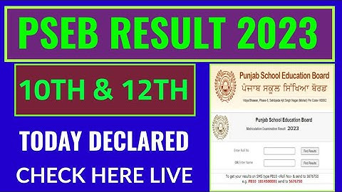 PSEB Result 2023 kaise dekhe, how to check pseb result 2023, punjab 10th, 12th results 2023 check